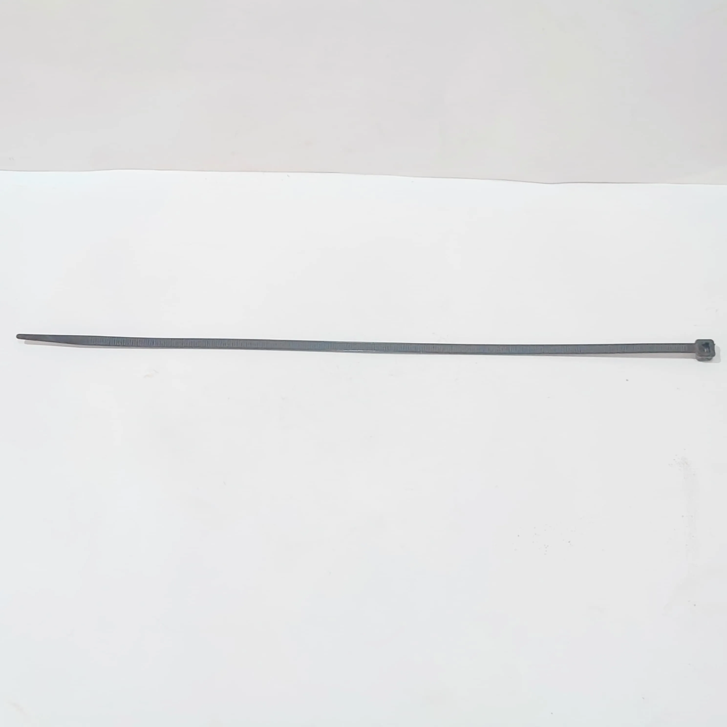 Amarra plastica (correa)
